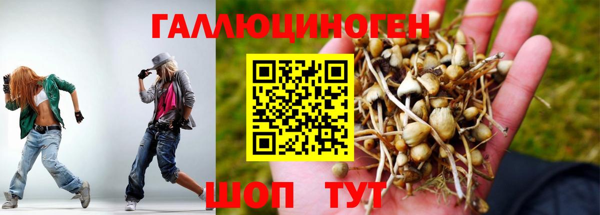 Галлюциногенные грибы Cubensis Нурлат
